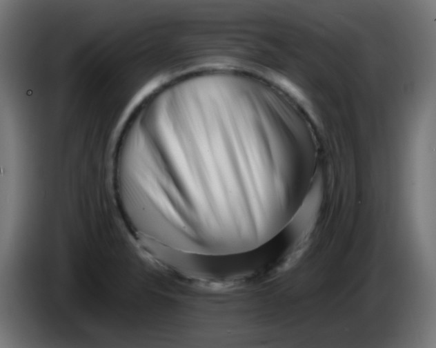 X0000086061326200704132009