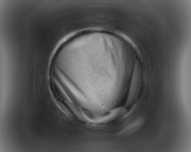 X0000086061327200704132009