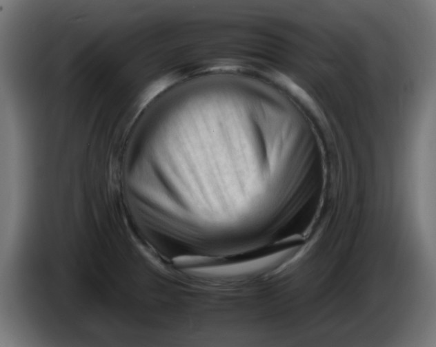 X0000086061329200704132009