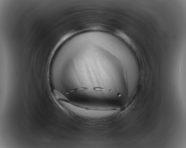 X0000086061331200704132009