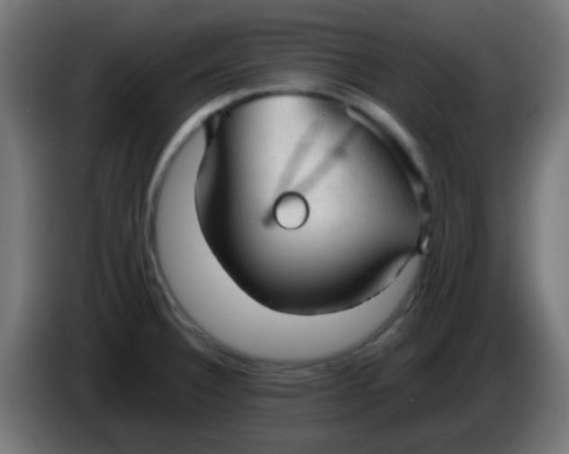 X0000086061332200704132009