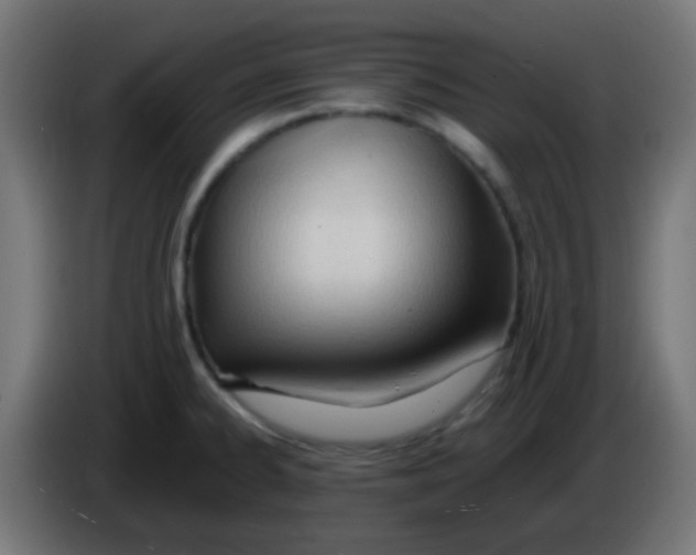 X0000086061334200704132009