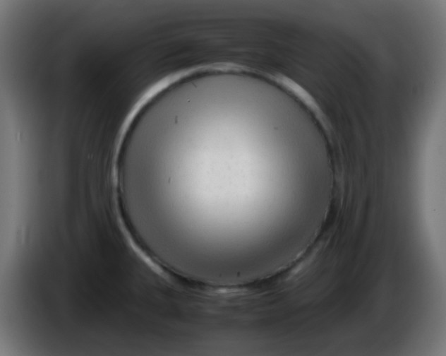 X0000086061335200704132010