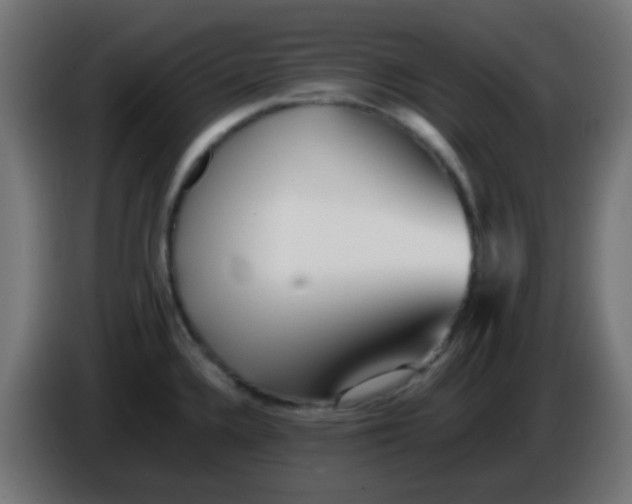 X0000086061336200704132010