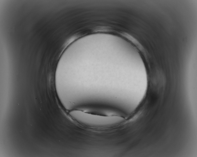 X0000086061337200704132010