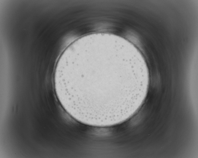 X0000086061338200704132010