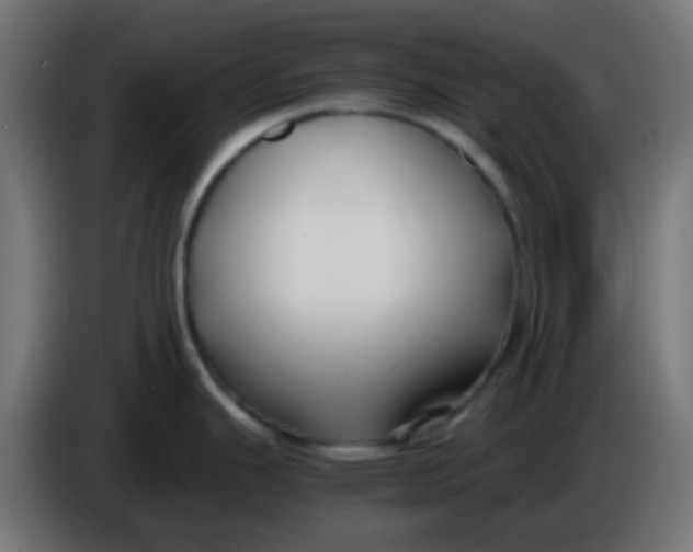 X0000086061343200704132010