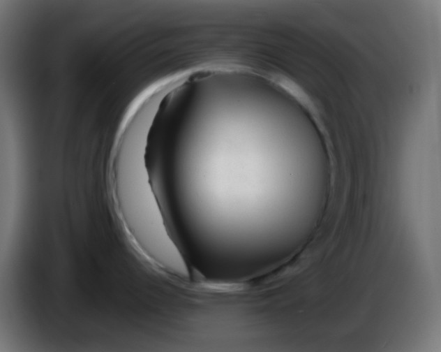 X0000086061344200704132010