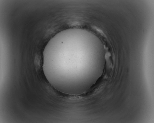 X0000086061348200704132009