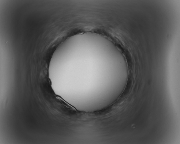 X0000086061349200704132009