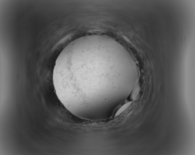 X0000086061351200704132009