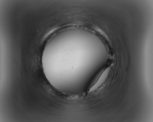 X0000086061352200704132009