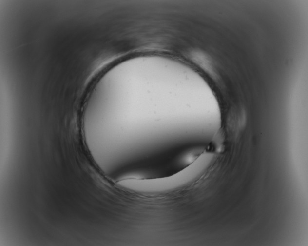 X0000086061356200704132009