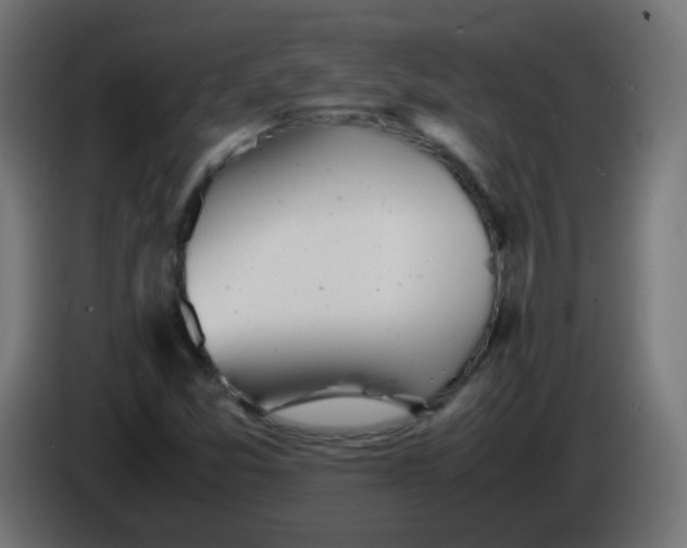 X0000086061357200704132009