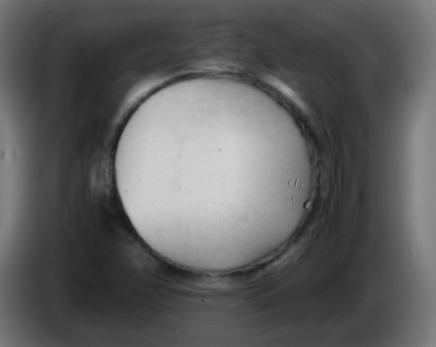 X0000086061358200704132009