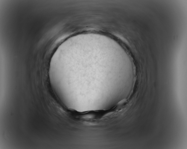 X0000086061359200704132009