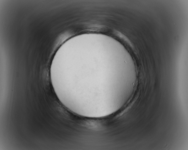 X0000086061362200704132009