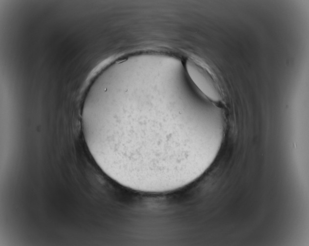 X0000086061363200704132009