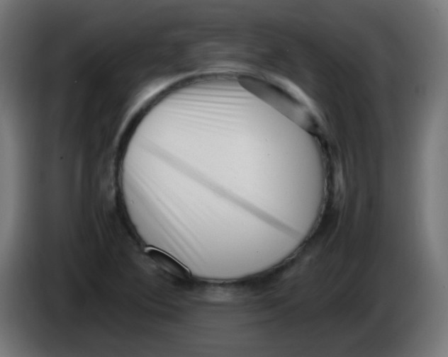 X0000086061364200704132009