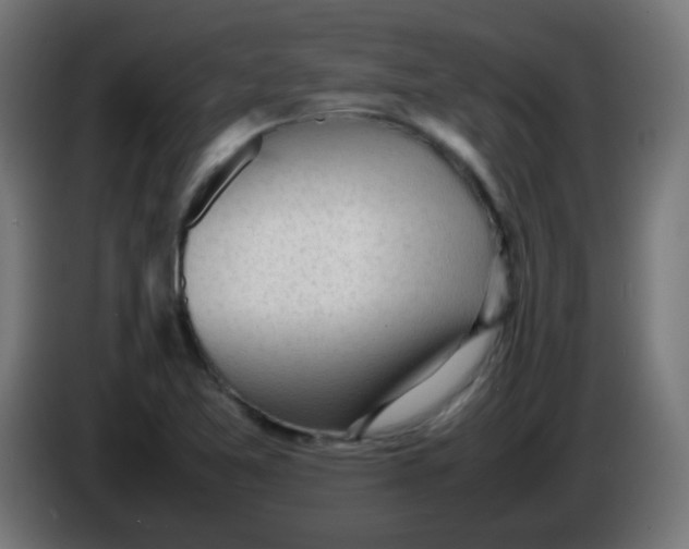 X0000086061365200704132009