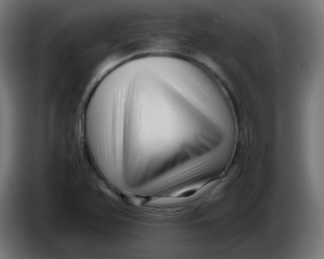 X0000086061366200704132009