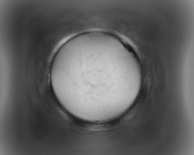 X0000086061367200704132009