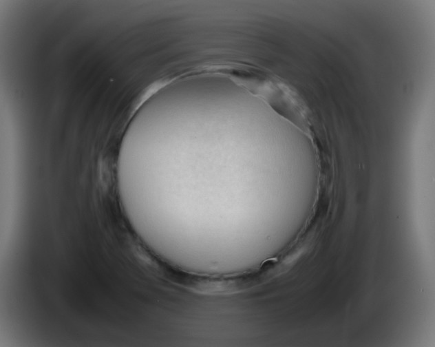 X0000086061369200704132009