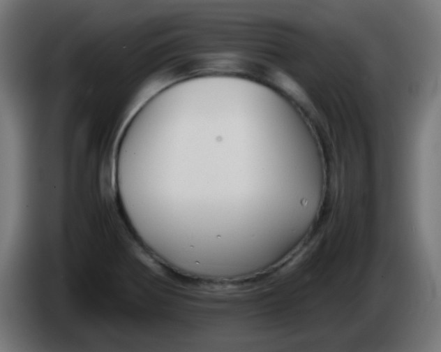 X0000086061370200704132009