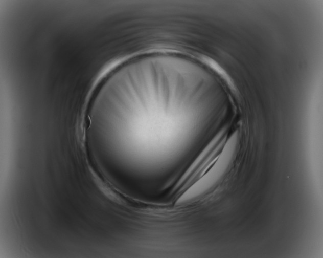 X0000086061372200704132009