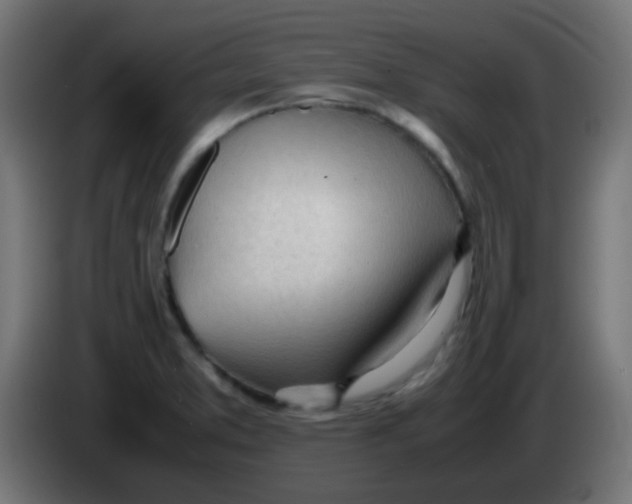 X0000086061373200704132009