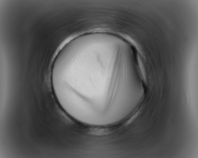 X0000086061374200704132009