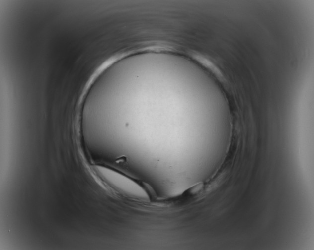 X0000086061375200704132009