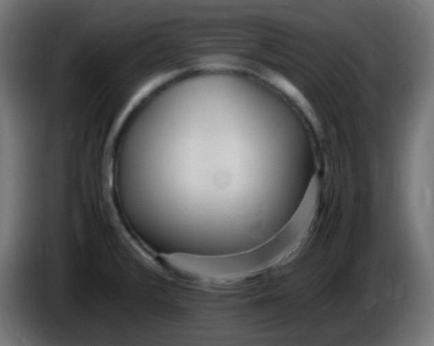 X0000086061376200704132009