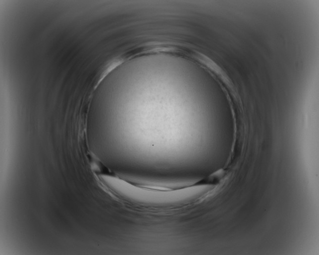 X0000086061377200704132009