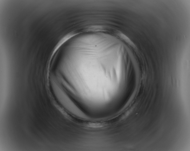 X0000086061378200704132008