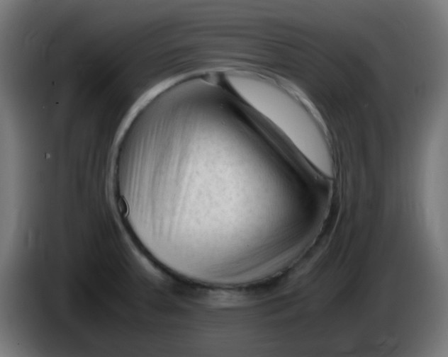 X0000086061379200704132008