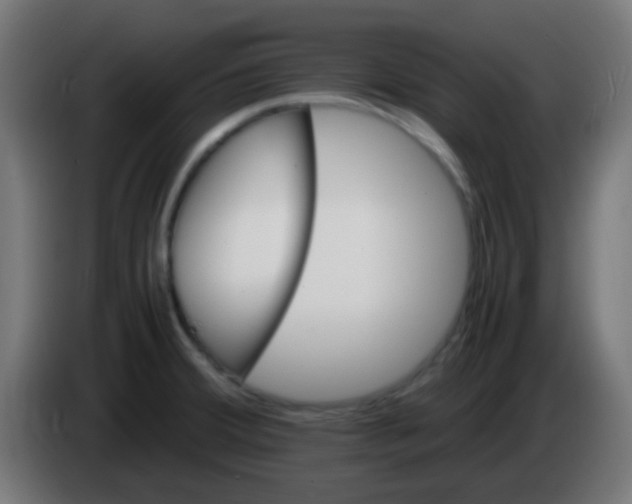 X0000086061380200704132008