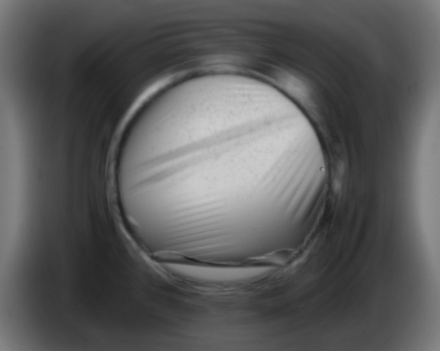 X0000086061384200704132008