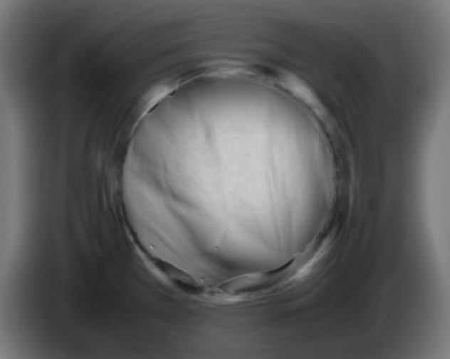 X0000086061385200704132008