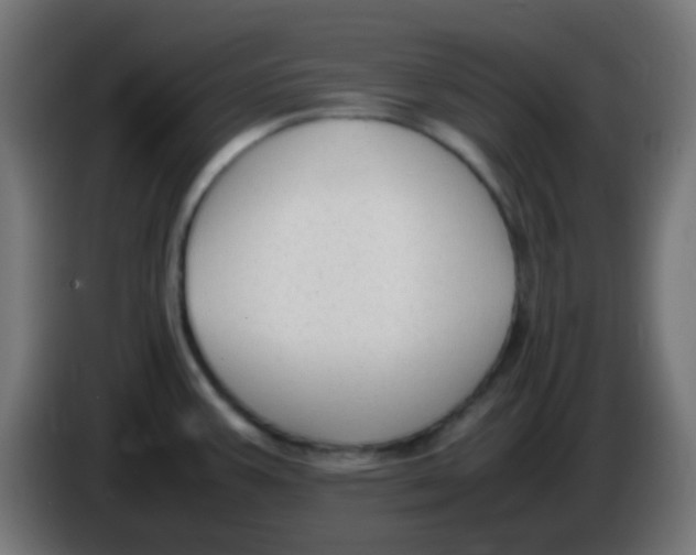 X0000086061387200704132008