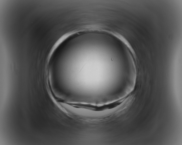 X0000086061389200704132008