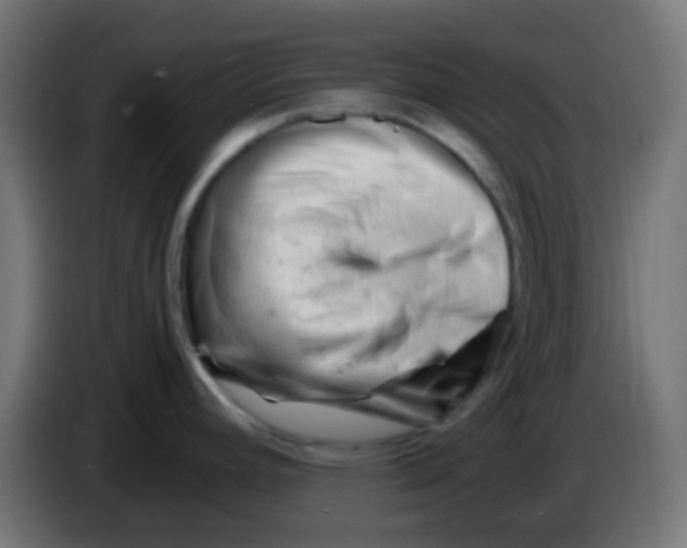 X0000086061392200704132008