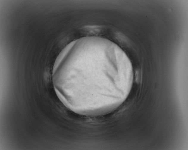 X0000086061395200704132008