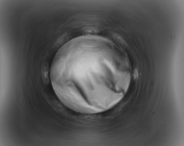 X0000086061396200704132008