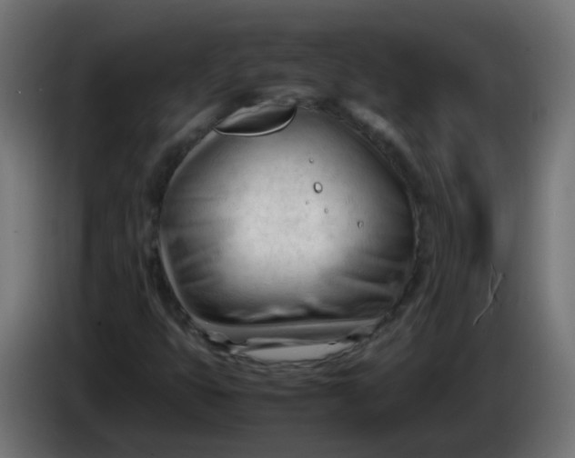 X0000086061399200704132008