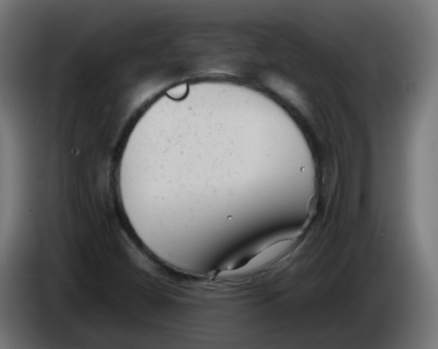 X0000086061404200704132008