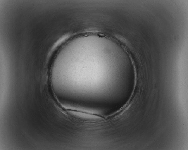 X0000086061406200704132008