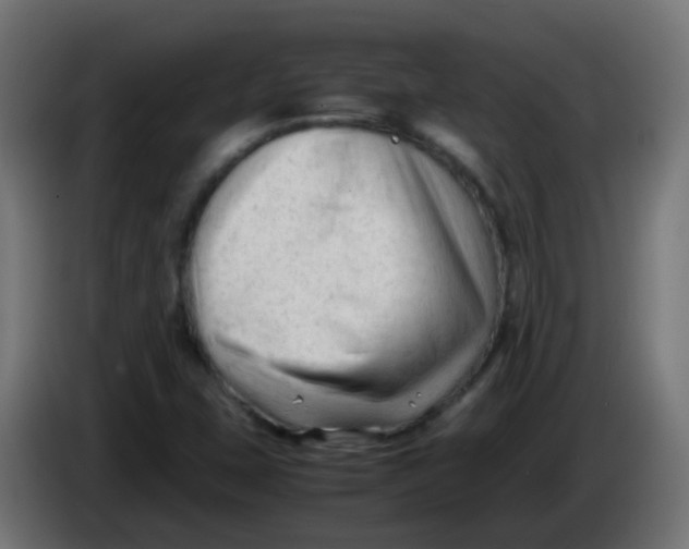 X0000086061407200704132008