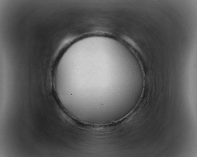 X0000086061408200704132008