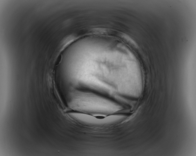 X0000086061409200704132008